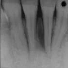 Business 30 image PETRICCA GIORGIO DR INC Health & Medicine in Nanaimo BC