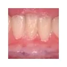 Business 31 image PETRICCA GIORGIO DR INC Health & Medicine in Nanaimo BC