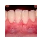 Business 1 image PETRICCA GIORGIO DR INC Health & Medicine in Nanaimo BC