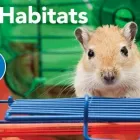 Entreprises 5 image PETSMART Shopping dans Langley BC