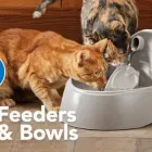 Business 8 image PETSMART Shopping in Thunder Bay ON