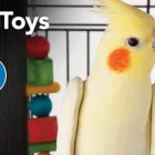 Business 6 image PETSMART Shopping in Windsor ON