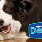 Entreprises 8 image PETSMART Shopping dans Winnipeg MB