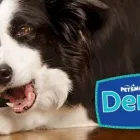 Business 1 image PETSMART Shopping in Richmond Hill ON