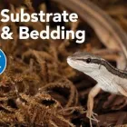 Entreprises 11 image PETSMART Shopping dans Coquitlam BC