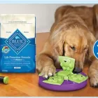 Entreprises 6 image PETSMART Shopping dans Maple ON