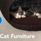 Entreprises 12 image PETSMART Shopping dans Coquitlam BC