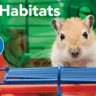 Business 13 image PETSMART Shopping in Scarborough ON