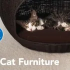 Entreprises 2 image PETSMART Shopping dans Winnipeg MB