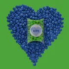 Business 7 image PIXEL ART & DESIGN STUDIO Education in North York ON