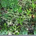 Entreprises 2 image PLANT CARE Shopping dans Dartmouth NS