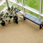 Entreprises 4 image PLANT CARE Shopping dans Dartmouth NS