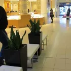 Entreprises 1 image PLANT CARE Shopping dans Dartmouth NS