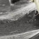 Business 3 image PLUMBWIZE PLUMBING AND DRAIN SERVICES BURLINGTON Real Estate & Home Improvement in Burlington ON