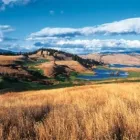 Business 3 image PREDATOR RIDGE GOLF RESORT travel & tourism in Vernon BC