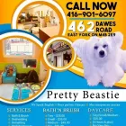 Entreprises 11 image PRETTY BEASTIE Pet Grooming Services dans East York ON