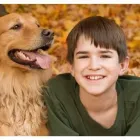Entreprises 2 image PRINCE OF WALES ANIMAL HOSPITAL Veterinarians dans Ottawa ON