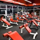Business 2 image PRO GYM SERGE MOREAU INCORPORATED Sports & Recreation in Montréal QC