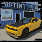 Business 5 image PRO TINT Graphic Designers in Windsor ON
