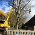Business 5 image PROFESSIONAL TREE SERVICES Trees & Shrubs in Hamilton ON