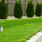 Business 2 image PROJECT LANDSCAPE LTD Landscaping Equipment & Supplies in Calgary AB