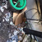 Entreprises 1 image PROVINCIAL PEST CONTROL MISSISSAUGA Pest Control Equipment & Supplies dans Missassauga ON