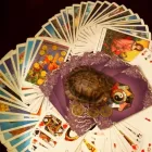 Business 8 image PSYCHIC VISIONARY GU Clairvoyants & Psychics in Richmond Hill ON