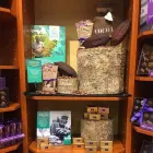 Business 2 image PURDYS CHOCOLATIER Shopping in Richmond Hill ON