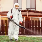 Business 1 image QUALITY AFFORDABLE PEST CONTROL in Markham ON