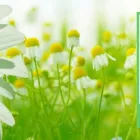 Entreprises 3 image QUALITY FIRST BUILDING MAINTENANCE LTD Cleaning Services dans Delta BC