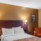 Business 40 image QUALITY HOTEL & SUITES travel & tourism in Gander NL