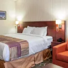 Business 1 image QUALITY HOTEL & SUITES travel & tourism in Gander NL
