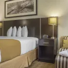 Business 9 image QUALITY HOTEL travel & tourism in Burlington ON