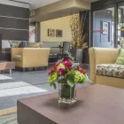 Business 13 image QUALITY HOTEL travel & tourism in Burlington ON