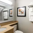 Business 26 image QUALITY INN & SUITES AMSTERDAM travel & tourism in Fredericton NB