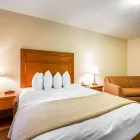 Business 1 image QUALITY INN & SUITES travel & tourism in Lethbridge AB