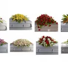 Entreprises 6 image RAINBOW FLORIST Shopping dans York ON