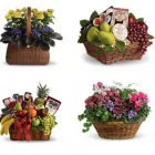 Entreprises 2 image RAINBOW FLORIST Shopping dans York ON