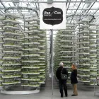 Entreprises 19 image RANCON SYSTEMS LTD Industries & Agriculture dans Markham ON