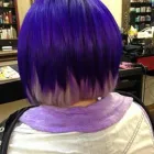 Business 38 image RAPUNZILS HAIR SALON & SPA Hair Salons in Lethbridge AB