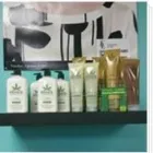 Business 1 image RAVISHING SALON & SPA Hair Salons in Saskatoon SK