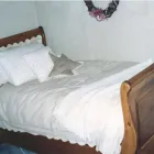 Business 3 image RAY'S ANTIQUE SHOP Shopping in Pembroke ON