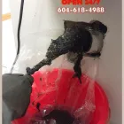 Business 6 image RED SEAL DRAINAGE AND PLUMBING INC. Real Estate & Home Improvement in Vancouver BC