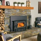 Business 20 image REGENCY FIREPLACE PRODUCTS Real Estate & Home Improvement in Delta BC