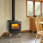 Business 24 image REGENCY FIREPLACE PRODUCTS Real Estate & Home Improvement in Delta BC