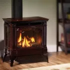 Business 54 image REGENCY FIREPLACE PRODUCTS Real Estate & Home Improvement in Delta BC