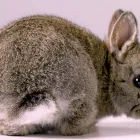 Business 1 image RENALDO CONSULTING COMPANY Quarrying & Mining in Vancouver BC