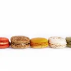 Entreprises 4 image REPCHAMPION CANADA Food & Beverage dans Mississauga ON