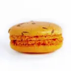 Entreprises 2 image REPCHAMPION CANADA Food & Beverage dans Mississauga ON