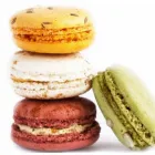 Entreprises 3 image REPCHAMPION CANADA Food & Beverage dans Mississauga ON
